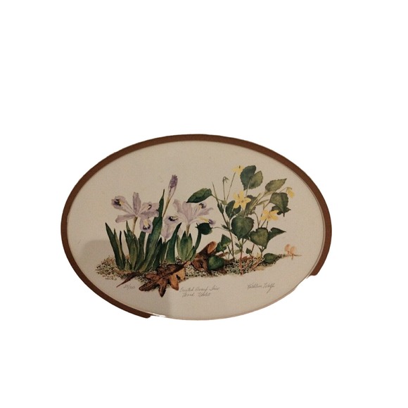Kathleen Wolfe Crested Dwarf Iris Lithograph 28/350 Signed 10" X 13" - Picture 1 of 8